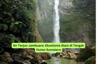 Air Terjun Jambuara Eksotisme Alam di Tengah Hutan Sumatera
