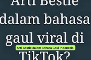 Arti Bestie dalam Bahasa Gaul Indonesia