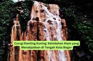 Curug Klenting Kuning Keindahan Alam yang Menakjubkan di Tengah Kota Bogor