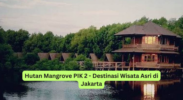 Hutan Mangrove PIK 2 - Destinasi Wisata Asri di Jakarta