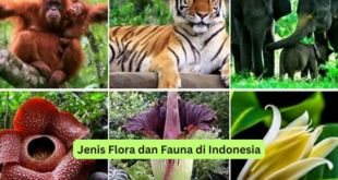 Jenis Flora dan Fauna di Indonesia