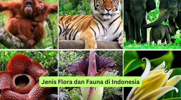Jenis Flora dan Fauna di Indonesia