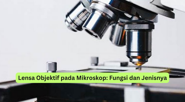 Lensa Objektif pada Mikroskop Fungsi dan Jenisnya