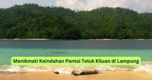 Menikmati Keindahan Pantai Teluk Kiluan di Lampung