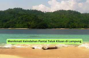 Menikmati Keindahan Pantai Teluk Kiluan di Lampung