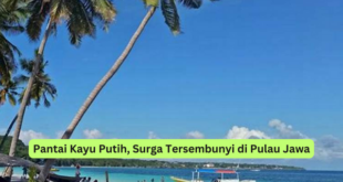 Pantai Kayu Putih, Surga Tersembunyi di Pulau Jawa