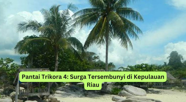Pantai Trikora 4 Surga Tersembunyi di Kepulauan Riau