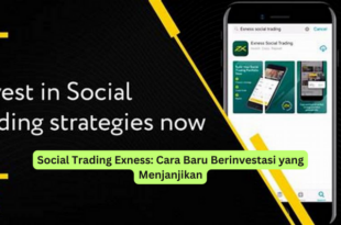 Social Trading Exness Cara Baru Berinvestasi yang Menjanjikan