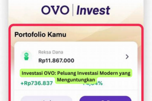 Investasi OVO Peluang Investasi Modern yang Menguntungkan