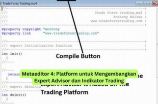 Metaeditor 4 Platform untuk Mengembangkan Expert Advisor dan Indikator Trading