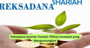 Reksadana Syariah Terbaik Pilihan Investasi yang Menguntungkan