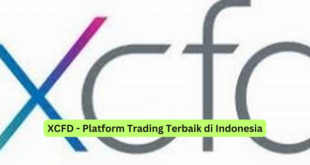 XCFD - Platform Trading Terbaik di Indonesia
