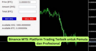 Binance MT5 Platform Trading Terbaik untuk Pemula dan Profesional