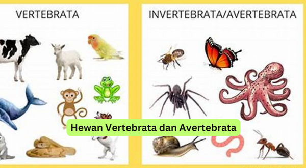Hewan Vertebrata dan Avertebrata