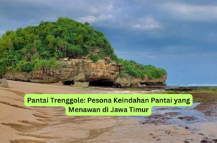 Pantai Trenggole Pesona Keindahan Pantai yang Menawan di Jawa Timur