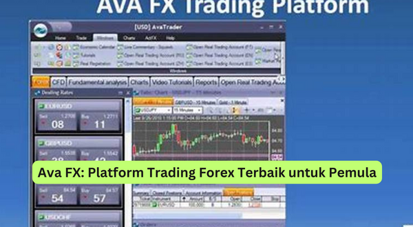 Ava FX Platform Trading Forex Terbaik untuk Pemula