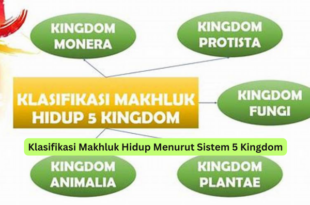Klasifikasi Makhluk Hidup Menurut Sistem 5 Kingdom