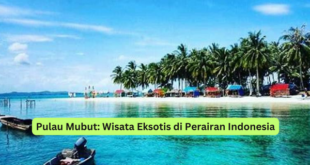 Pulau Mubut Wisata Eksotis di Perairan Indonesia