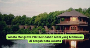 Wisata Mangrove PIK Keindahan Alam yang Memukau di Tengah Kota Jakarta
