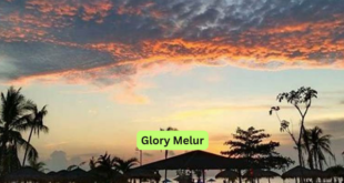 Glory Melur